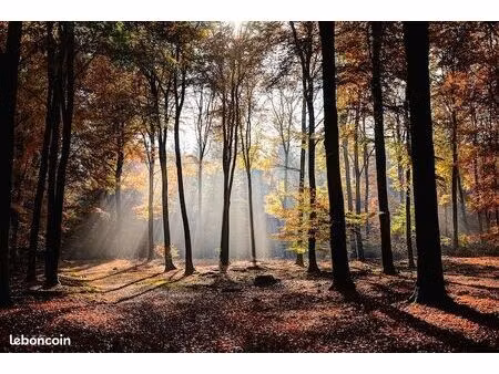 je cherche un terrain