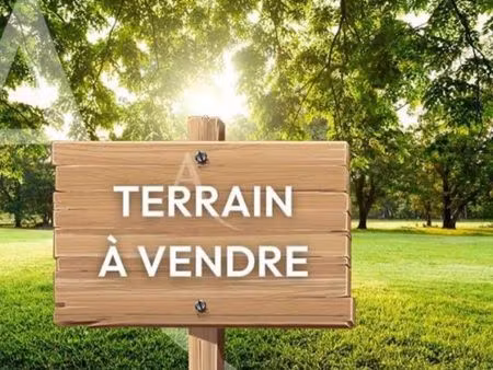 terrain constructible