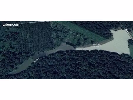 terrain 40 000 m² lepuix neuf