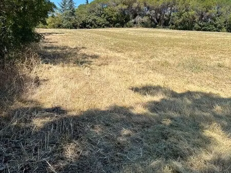 terrain 7195 m2