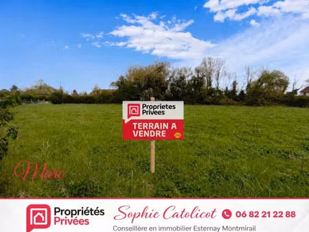 vente terrain 1315 m² à sancy-lès-provins (77320)  41 000 €