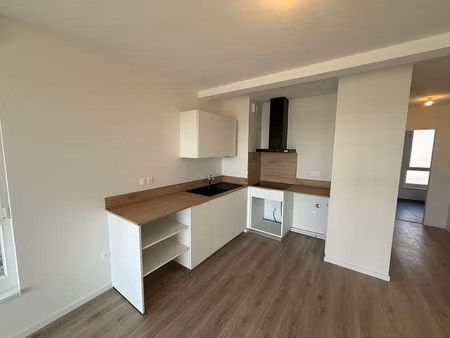 haguenau  3 pièces neuf