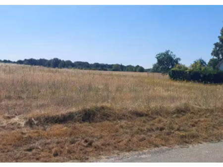 vente terrain 1153 m² à nanteau-sur-lunain (77710)  57 000 €