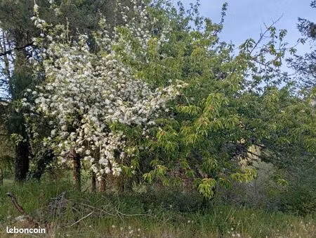 terrain 3404 m2