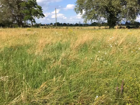 vente terrain 530 m² à bâgé-la-ville (01380)  48 000 €