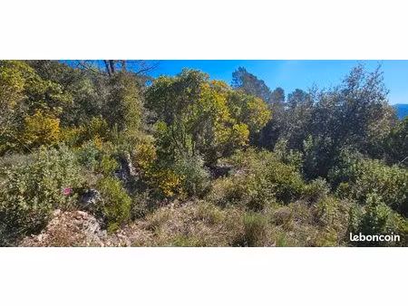 terrain 10 000 m² bagnols en foret