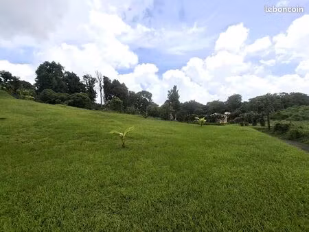 terrain 4 435 m² gros morne
