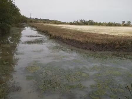 vend terrain agricole