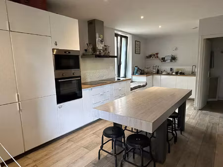 location appartement 9 pièces 148 m² à villeurbanne (69100)