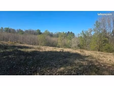 terrain 3 006 m² estivaux