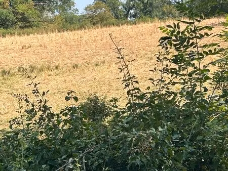 terrain à bâtir