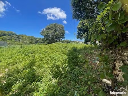 terrain 989 m² bras-panon