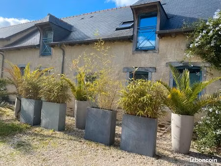 location maison/appartement vern sur seiche