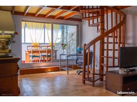 studio 1 pièce 33 m²
