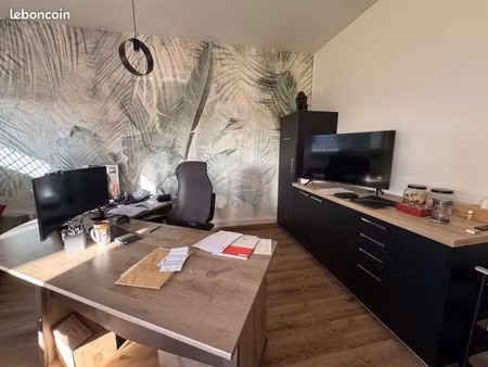 cède bail de local professionnel 50m2 étang salé les bains