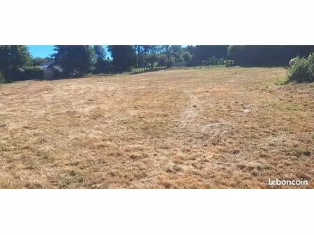 terrain constructible