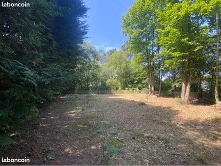 terrain constructible
