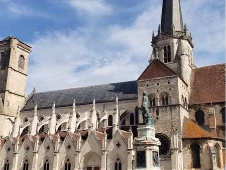 t3- petit prix  gros potentiel appartement en plein cœur d’auxonne