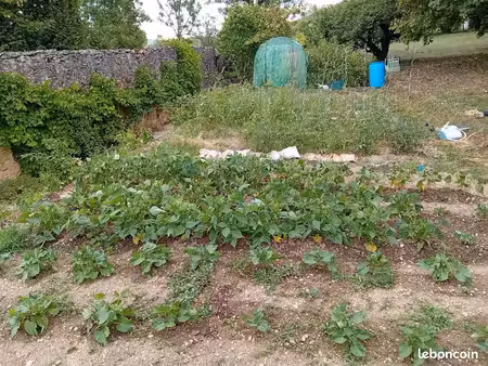 jardin terrain de loisir bois