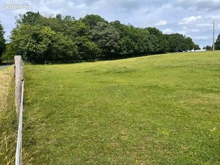 terrain à bâtir de 3300 m² à cause-de-clerans (24)