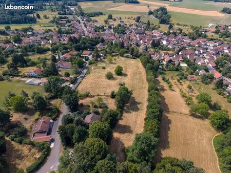 terrain rare d’environ 1 6 hectares avec parties constructibles – montécheroux