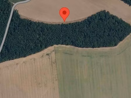 forêt à vendre 6h200