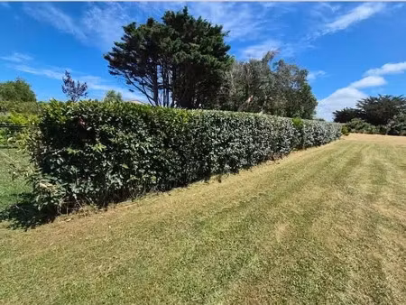 vente terrain 945 m² à la plaine-sur-mer (44770)  140 000 €
