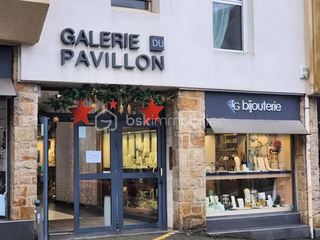vente locaux professionnels à auray (56400)  77 000 €