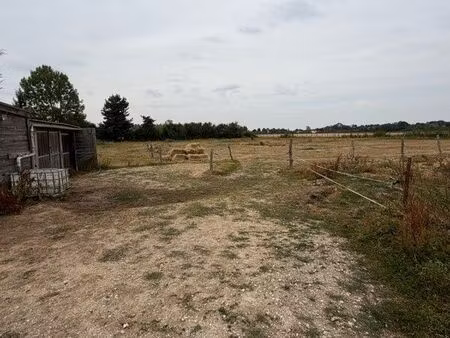 pré pour chevaux âne