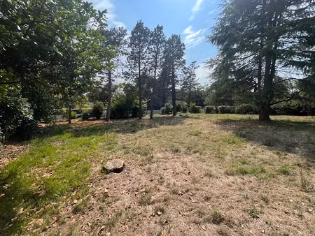 vente terrain 1000 m² à saint-benoit (86280)  160 000 €