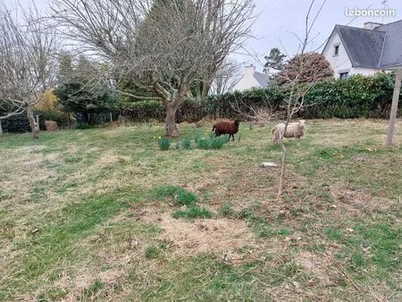 terrain constructible 1 125 m² – quimper ergué-armel – secteur recherché