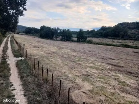 terrain agricole