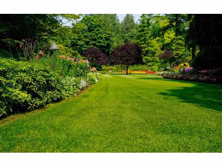 vente terrain 445 m² à la chapelle-la-reine (77760)  180 000 €