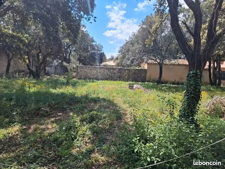 uzes/saint-siffret(30700) particulier vend terrain arboré constructible de 1400m²