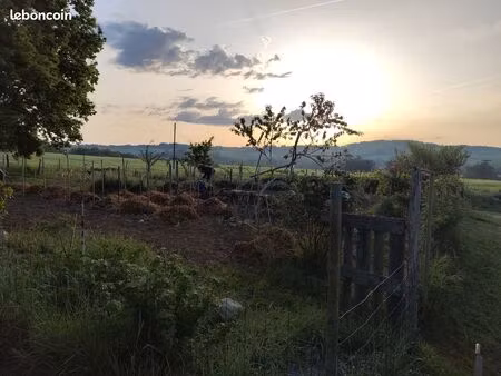 parcelle boisée et vigne  jardin