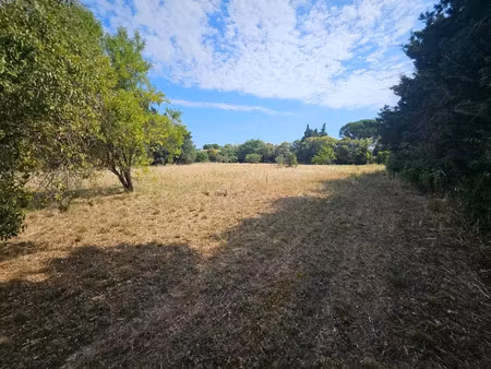 vente terrain 356 m² à fontvieille (13990)  185 000 €