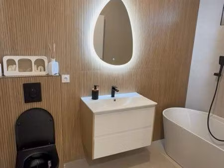 appartement t3 duplex 66 m² entièrement rénové
