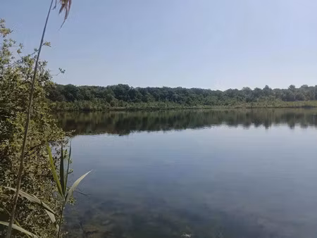 vente terrain 140000 m² à ailloncourt (70300)  250 000 €