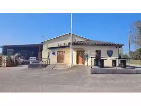vente immeuble 7 pièces 2000 m² à beaumont-de-lomagne (82500)  627 000 €