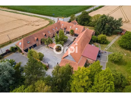 vente immeuble 1 pièce 655 m² à steenbecque (59189)  633 000 €