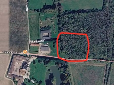 parcelle de bois