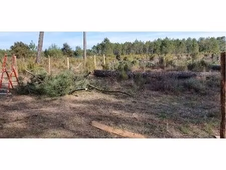 terrain loisir