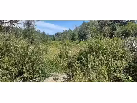 vente terrain en futé