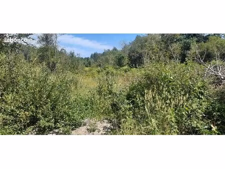 vente terrain en futé