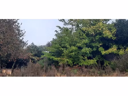 vente terrain 1200 m² à gujan-mestras (33470)  350 000 €