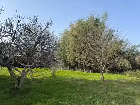 vente terrain 630 m² à andernos-les-bains (33510)  195 000 €