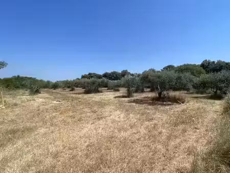 vente terrain 1700 m² à saint-siffret (30700)  299 000 €