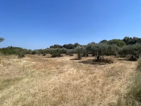 vente terrain 1700 m² à saint-siffret (30700)  315 000 €