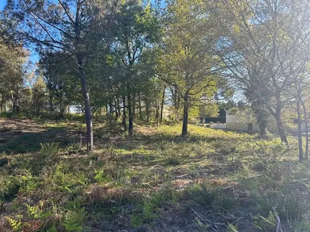 vente terrain 1400 m² à biscarrosse (40600)  390 000 €