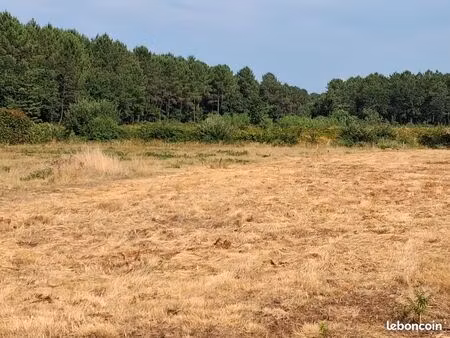 balanos  très beau terrain 650 m2